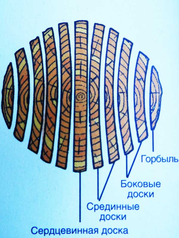классификация деревянных досок