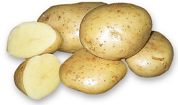 картофель невский